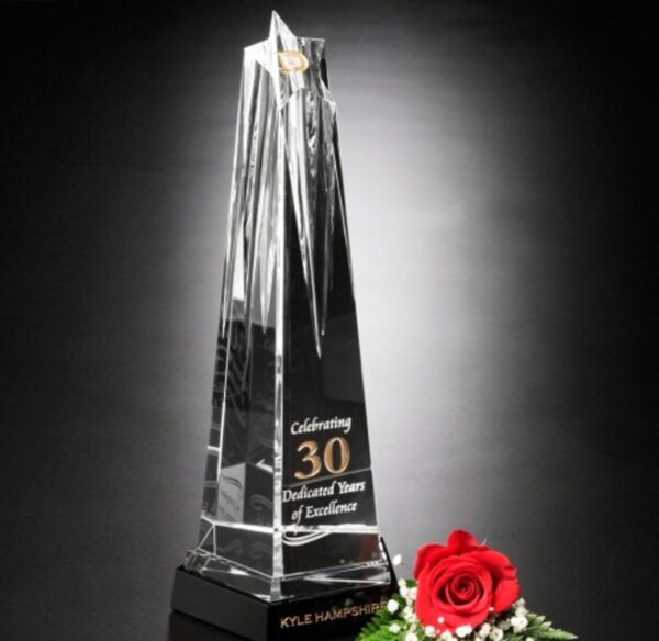 Pulsar Star Crystal Award - Image 2
