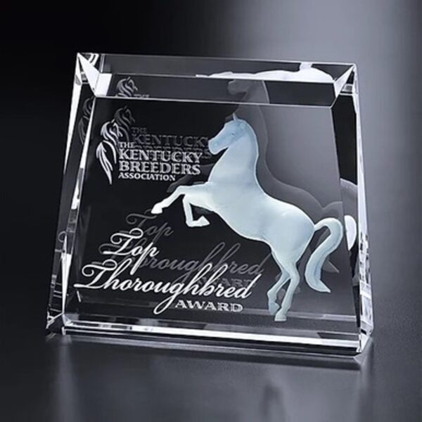 Luxurious 3D Crystal Newberry Award with custom laser engraving, perfect for celebrating corporate achievements and recognizing top performers.